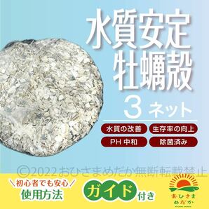 送料無料【牡蠣殻(カキ殻) ３ネット】メダカろ材 牡蠣殻チップ かきがら ろ材 めだか カキガラ バクテリア金魚PSB クロレラ PH中和の画像1