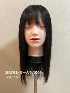 特売【新品未使用】高品質レミー人毛ヘアウィッグ　ロング　カット済み