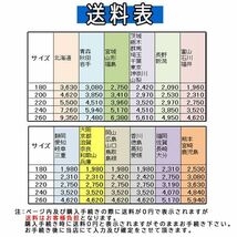 ■lt059■(E)トルコ製 ウィルトン織カーペット “プラテリア” 200×250cm 31980円相当【シンオクG】_画像5