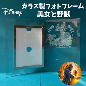 Disney ディズニー 写真立て フォトフレーム 美女と野獣