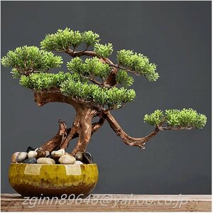  human work tree 12 -inch .. high fake. pine. tree, fake bonsai pine. tree, be human work green. plant fake green large human work tree bonsai ornament 