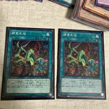 e115/13 トレカ トレーディングカード TCG 遊戯王 デュエルモンスターズ まとめて 大量 ストレージボックス付き キラ ホロ 捕食生成_画像9