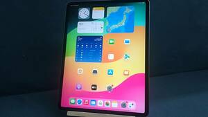 【良品♪】Apple iPad Pro 12.9インチ(第3世代) 64GB Wi-Fi A1876(MTEL2J/A)スペースグレイ/動作品