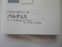 『バルテュスとの対話』コンスタンツォ・コスタンティーニ編　平成１５年　初版カバー帯　定価２８００円　白水社_画像3