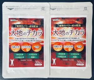 【送料無料】大地のチカラ　約2ヶ月分(1ヶ月分30粒×2袋) 高麗人参 トナカイの角 マカ　サプリメント シードコムス