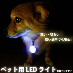 H10337【送料無料】【新品】ペット用首輪ペンダントLED お散歩ライト グリーン ペンダント 光る 犬 猫 夜間 散歩 安全 リードネックレス