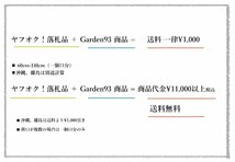 -G93- Aspidistra fungilliformis 【花終わり・中国ハラン】 122207_画像9