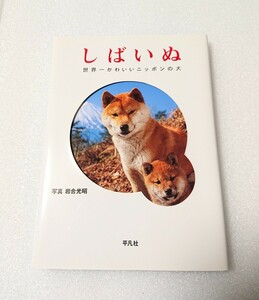 中古本■柴犬 しばいぬ シバイヌ 柴