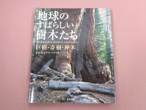 ★初版 『 地球のすばらしい樹木たち - 巨樹・奇樹・神木 』 トマス・パケナム 早川書房