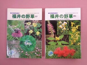 [ Fukui prefecture plant illustrated reference book 1*2 together 2 pcs. set Fukui. wild grasses on * under ] Fukui prefecture plant research .