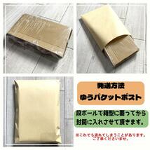 54【★1kg★ 紀州南高梅 しそ漬け梅 500g×2点】和歌山 梅干し 梅_画像4