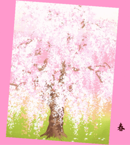 ★春★四季小風呂敷(ふろしき)★桜(さくら)・手拭い(てぬぐい)店★