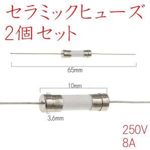 海外変換プラグ用・交換ヒューズ