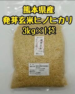 熊本県産 令和5年新米100% 発芽玄米 3kg ヒノヒカリ