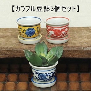 【人気商品】カラフル 　ミニ植木鉢　3個　3種 皿付 シノワズリ 多肉植物　ミニ盆栽　サボテン　苔　植木鉢　黄色　ピンク　青花