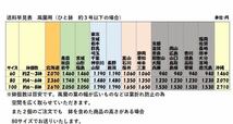 風蘭　富貴蘭　「黒燿」No.339 赤花　/鉢植え/セッコク/山野草/蘭/フウラン/観葉植物_画像4