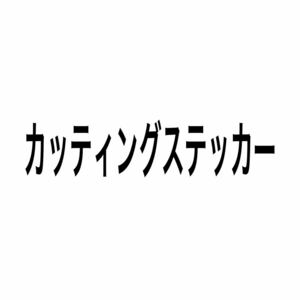 カッティングステッカー艶消し黒2枚