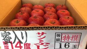 Aomori Prefecture Apple Sugar Содержание 14 градусов Sun Fuji Special 5 кг (12-16 шаров)