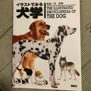 イラストでみる犬学 