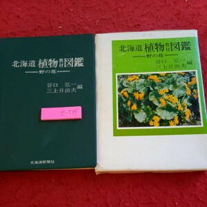 e-539 北海道 植物教材図鑑 野の花 谷口弘一 三上日出夫 編 北海道新聞社 箱入り 昭和57年発行 野草 雑草 など※8