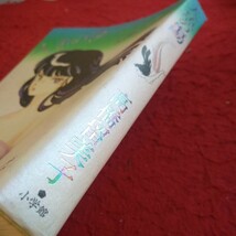 d-648 人魚の傷 高橋留美子 るーみっくわーるど スペシャル 小学館 2000年発行 夢の終わり 約束の明日 舎利姫 など※8_画像3