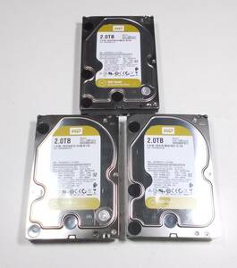 WesternDigital　WD Gold　WD2005FBYZ　2TB SATA600 7200rpm 3.5インチHDD　3台セット　動作品　即決　送料無料