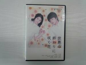 YD4404　DVD【世界の終わりに咲く花】☆（出演　川島海荷　他）☆現状渡し※