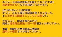 【IJ20-62】【送料無料】ティファ チャムズ・チャムペン 105/ルアー/フィッシング用品/※傷汚れ 塗装剥れあり_画像10