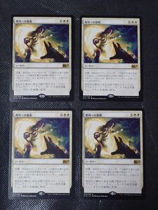 MTG マジックザギャザリング 戦列への復帰 日本語版４枚セット