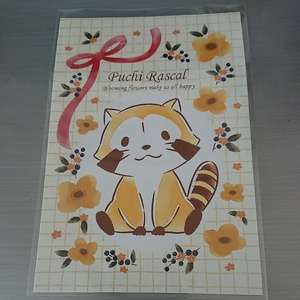 * Rascal the Raccoon *la Skull fea~ orange flower design ~* postcard *