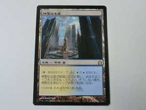 MTG プレイド 【神聖なる泉】 （レア） ラヴニカへの回帰 RTR 日 1枚迄