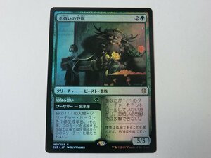 MTG プレイド 【恋煩いの野獣（FOIL）】 （レア） エルドレインの王権 ELD 日 1枚迄