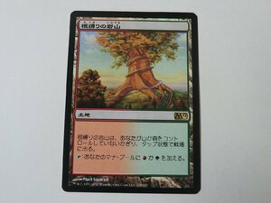 MTG プレイド 【根縛りの岩山】 （レア） 基本セット2012 M12 日 1枚迄