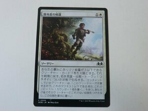 MTG 美品 【勝利者の帰還】 （コモン） エルドレインの森 WOE 日 2枚迄