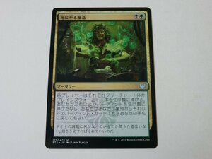 MTG 美品 【死に至る醸造】 （アンコモン） STX 日 9枚迄