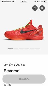 Nike Kobe 6 Protro Reverse Grinchナイキ コービー6 プロトロ リバース グリンチ 28cm US10