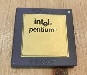 コレクターズアイテム Intel 初代 Pentium 60 MHz FDIVバグモデル