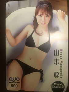 山本梓　ヤンチャン　水着クオカード　テレカ　　セクシーテレカ出品中。