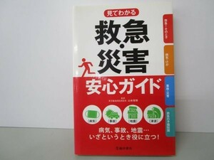 見てわかる救急・災害安心ガイド-病気、事故、地震…いざというとき役立つ! yo0512-be5-ba250798