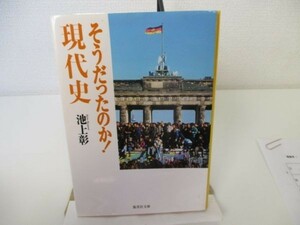 そうだったのか! 現代史 (集英社文庫) yo0512-be5-ba250727