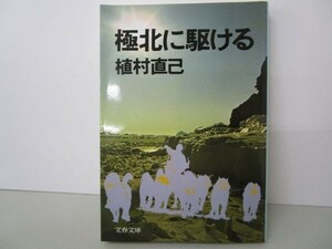 極北に駆ける (文春文庫) yo0512-be7-ba251361