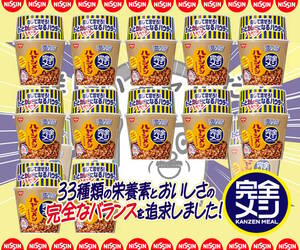 日清　完全メシ ハヤシメシ デミグラス 119g×２ケース　たまねぎとトマトの旨みでまろやかハヤシライス　カレーメシシリーズ