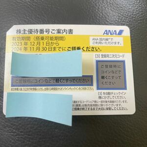 ANAの株主優待券1枚です。 有効期間、2024年11月末