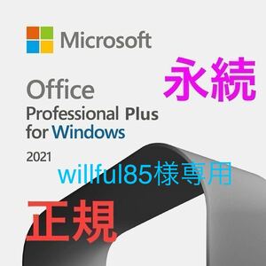 Microsoft Office 2021 Professional Plus永続ライセンス 2PC