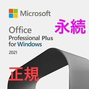 Microsoft Office 2021 Professional Plus永続ライセンス　　