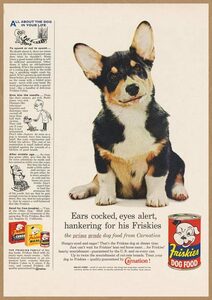 フリスキーズ コーギー レトロミニポスター B5サイズ 複製広告 ◆ Friskiesドッグフード 犬 USAD5-181
