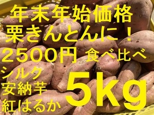 年末年始価格・栗きんとん・焼き芋にたっぷりの５キロ・３種食べ比べSET・シルクスイート・安納芋・紅はるか・　A 18