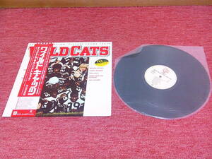  wild Cat's tsu( obi attaching * soundtrack record * rental record * instructions Cello tape. discoloration trace equipped * photograph 7 reference )