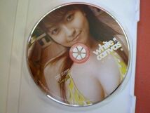 ｇ2-231227☆DVD　平田裕香　white canvas_画像3