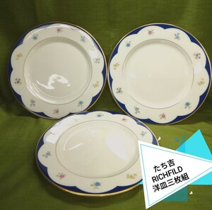 g_t P813 たち吉RICHFILD 洋食器 １番良く使う洋皿(直径約21.5cm/高さ1.5cm) 三枚組中古